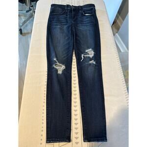 American Eagle Next Level Stretch Hi-Rise Jegging Size 8 Reg. Curvy Distressed